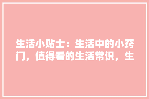 2024年SEO优化步骤,抓住关键词，提升网站排名