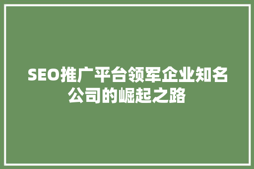 SEO推广平台领军企业知名公司的崛起之路