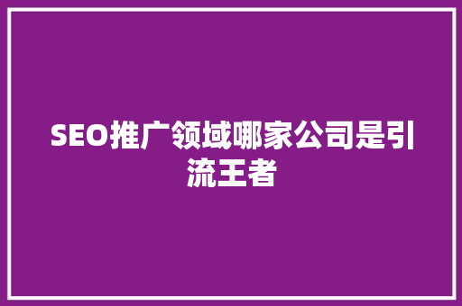 SEO推广领域哪家公司是引流王者