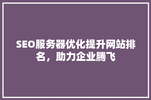 SEO服务器优化提升网站排名，助力企业腾飞