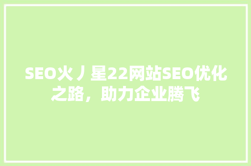SEO火丿星22网站SEO优化之路，助力企业腾飞