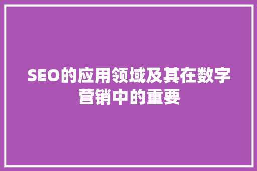 SEO的应用领域及其在数字营销中的重要