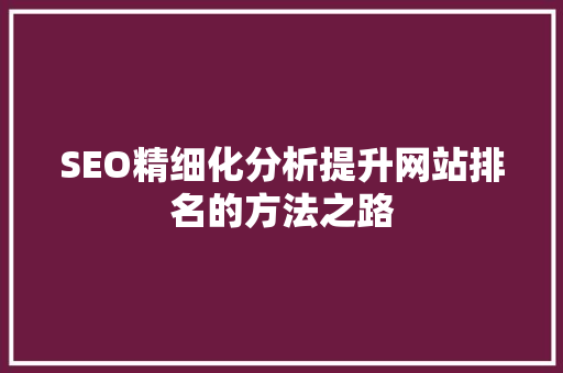 SEO精细化分析提升网站排名的方法之路