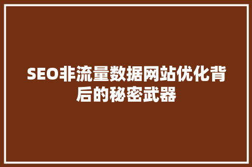 SEO非流量数据网站优化背后的秘密武器