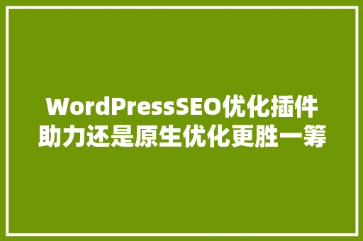 WordPressSEO优化插件助力还是原生优化更胜一筹
