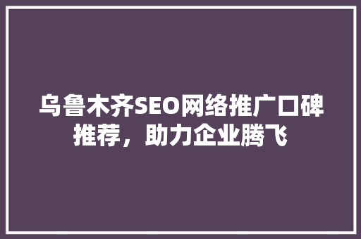 乌鲁木齐SEO网络推广口碑推荐，助力企业腾飞