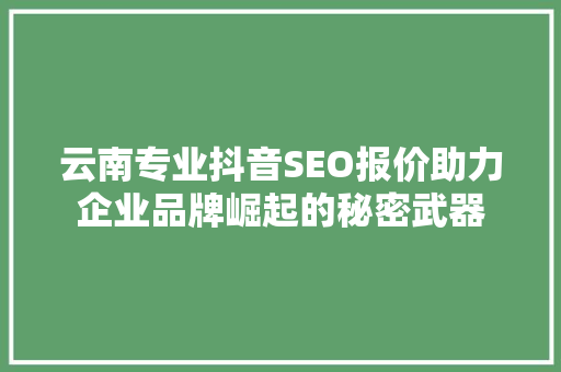 云南专业抖音SEO报价助力企业品牌崛起的秘密武器