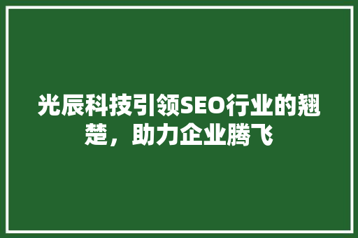 光辰科技引领SEO行业的翘楚，助力企业腾飞