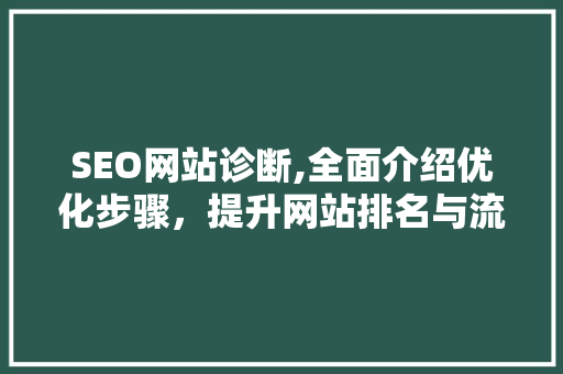 SEO网站诊断,全面介绍优化步骤，提升网站排名与流量  第1张