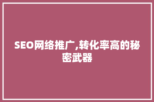 SEO网络推广,转化率高的秘密武器