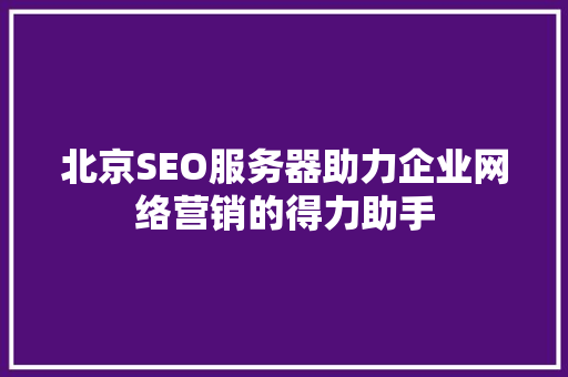 北京SEO服务器助力企业网络营销的得力助手