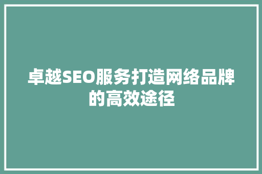 卓越SEO服务打造网络品牌的高效途径