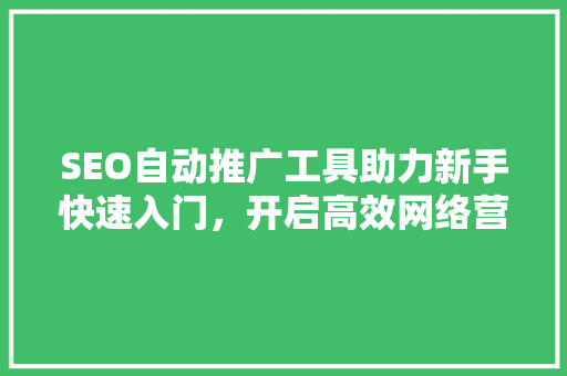 SEO自动推广工具助力新手快速入门，开启高效网络营销之旅