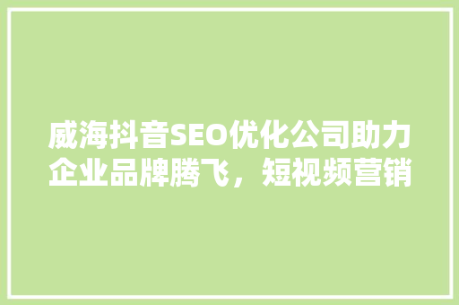 威海抖音SEO优化公司助力企业品牌腾飞，短视频营销新趋势