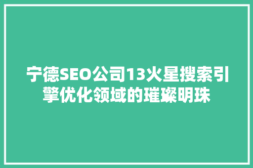 宁德SEO公司13火星搜索引擎优化领域的璀璨明珠