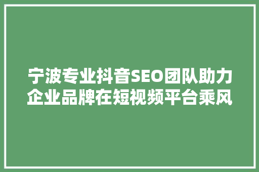 宁波专业抖音SEO团队助力企业品牌在短视频平台乘风破浪