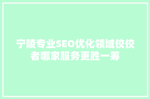 宁陵专业SEO优化领域佼佼者哪家服务更胜一筹