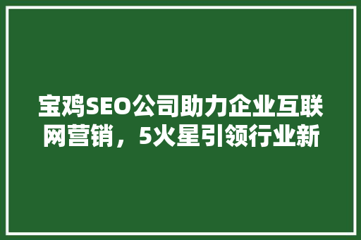 宝鸡SEO公司助力企业互联网营销，5火星引领行业新风向