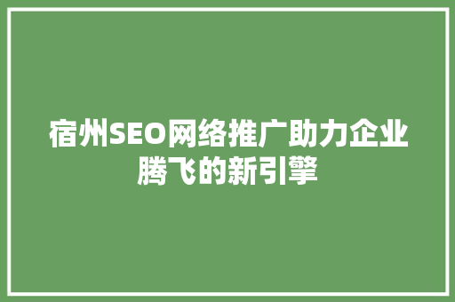 宿州SEO网络推广助力企业腾飞的新引擎