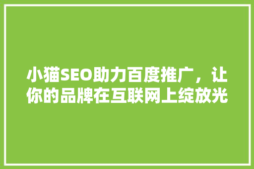 小猫SEO助力百度推广，让你的品牌在互联网上绽放光彩