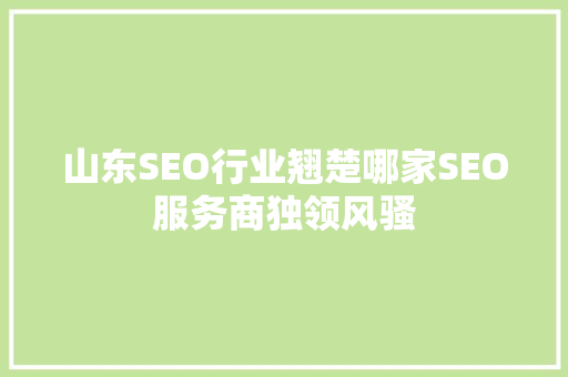 山东SEO行业翘楚哪家SEO服务商独领风骚
