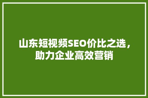 山东短视频SEO价比之选，助力企业高效营销