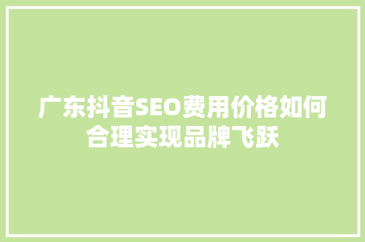 广东抖音SEO费用价格如何合理实现品牌飞跃