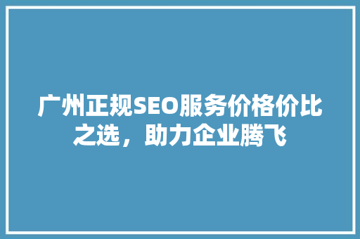 广州正规SEO服务价格价比之选，助力企业腾飞