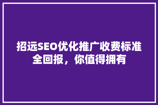 招远SEO优化推广收费标准全回报，你值得拥有