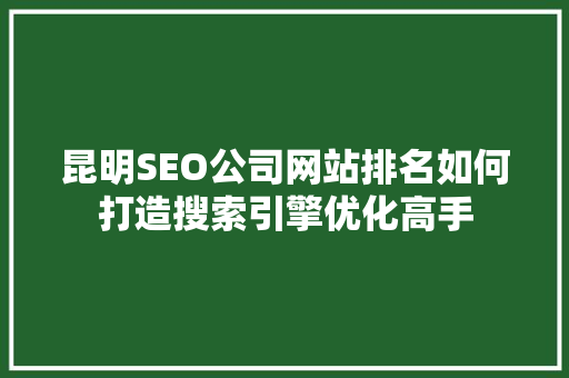 昆明SEO公司网站排名如何打造搜索引擎优化高手  第1张