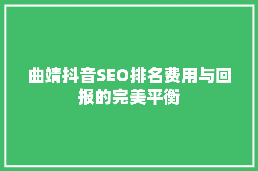 曲靖抖音SEO排名费用与回报的完美平衡