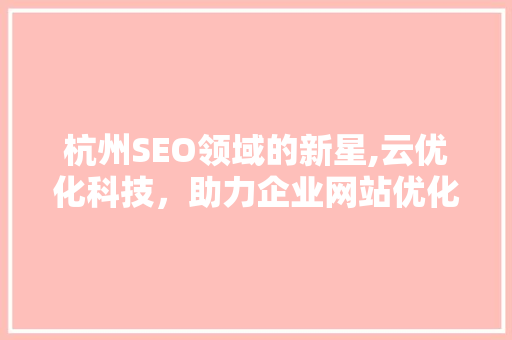 杭州SEO领域的新星,云优化科技，助力企业网站优化之路
