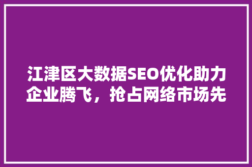 江津区大数据SEO优化助力企业腾飞，抢占网络市场先机