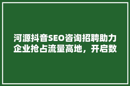 河源抖音SEO咨询招聘助力企业抢占流量高地，开启数字营销新篇章