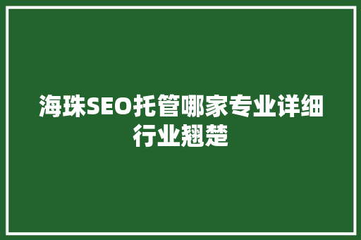 海珠SEO托管哪家专业详细行业翘楚