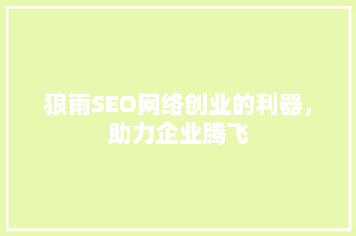 狼雨SEO网络创业的利器，助力企业腾飞