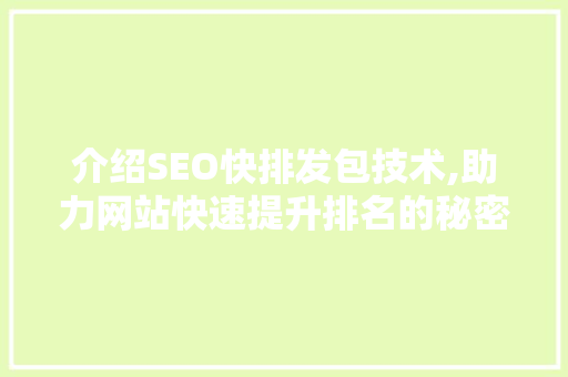介绍SEO快排发包技术,助力网站快速提升排名的秘密武器