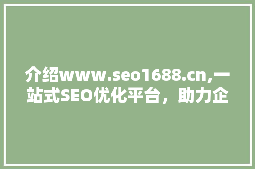 介绍www.seo1688.cn,一站式SEO优化平台，助力企业腾飞  第1张