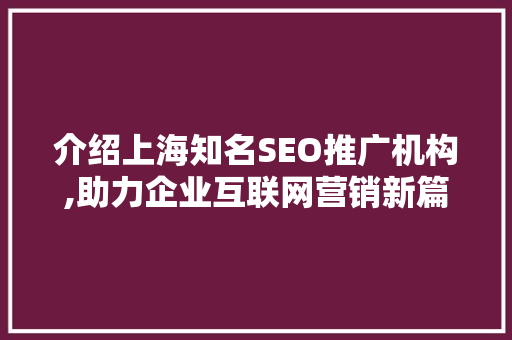 介绍上海知名SEO推广机构,助力企业互联网营销新篇章  第1张