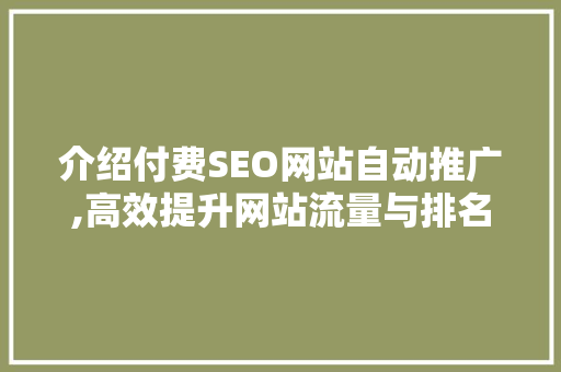介绍付费SEO网站自动推广,高效提升网站流量与排名的秘密武器