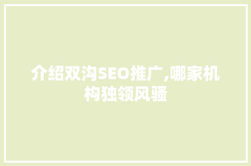 介绍双沟SEO推广,哪家机构独领风骚  第1张