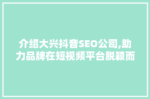 介绍大兴抖音SEO公司,助力品牌在短视频平台脱颖而出