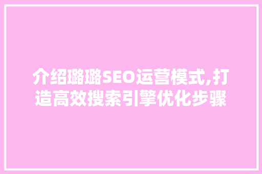 介绍璐璐SEO运营模式,打造高效搜索引擎优化步骤