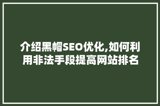 介绍黑帽SEO优化,如何利用非法手段提高网站排名