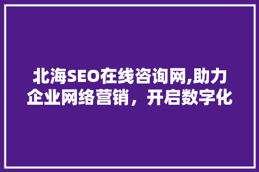 北海SEO在线咨询网,助力企业网络营销，开启数字化增长新篇章