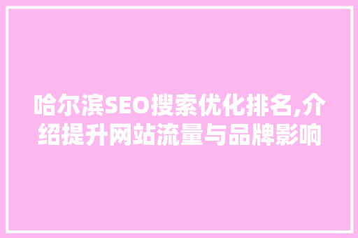 哈尔滨SEO搜索优化排名,介绍提升网站流量与品牌影响力的方法