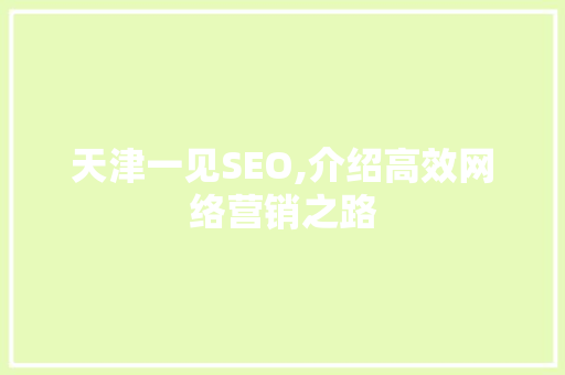 天津一见SEO,介绍高效网络营销之路