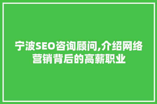 宁波SEO咨询顾问,介绍网络营销背后的高薪职业