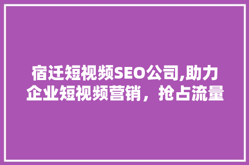 宿迁短视频SEO公司,助力企业短视频营销，抢占流量高地