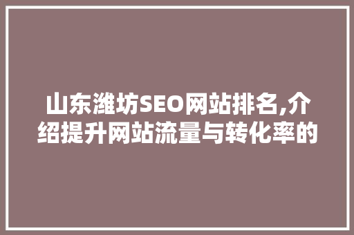 山东潍坊SEO网站排名,介绍提升网站流量与转化率的方法